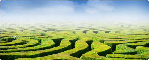 maze